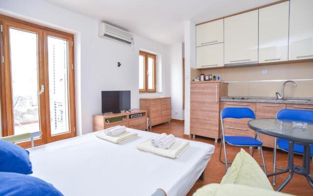 Apartment Petrovica