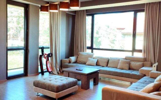 Cozy Flat in Bakuriani