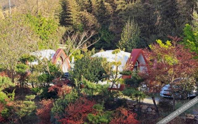 Damyang Firefly Pension