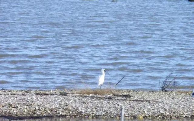 Oystercatcher Bay Boathouse
