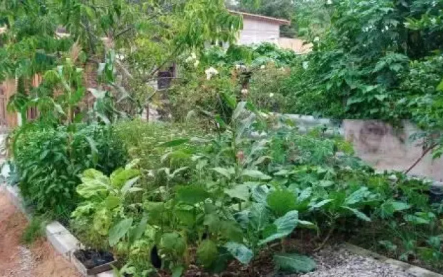 Casa em Ilhabela - Chalé I Canário