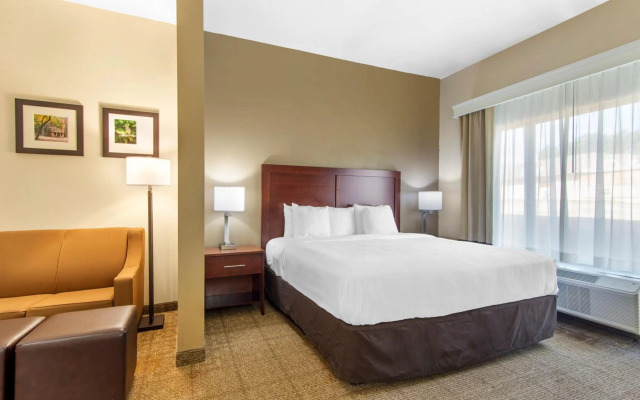 Comfort Suites Locust Grove Atlanta South
