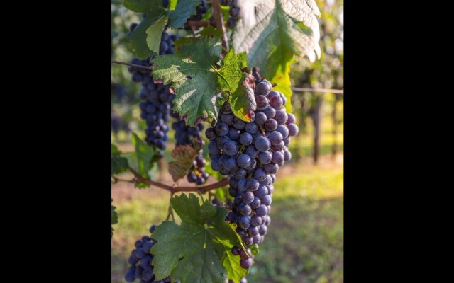 Famiglia Cois by GuruHotel