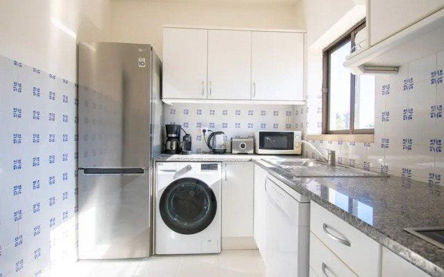 99B Hibiscus Monte Dourado