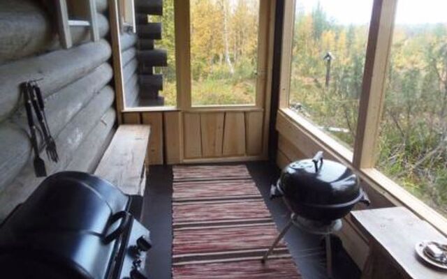 Tunturitähti, lainio