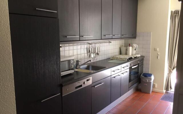 Lonestar Appartement