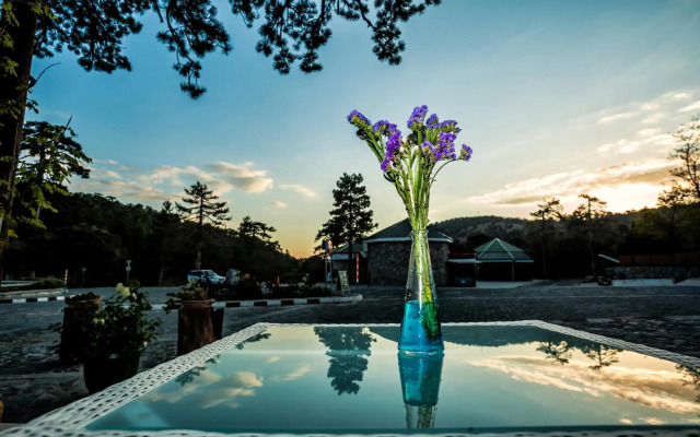 Troodos Hotel