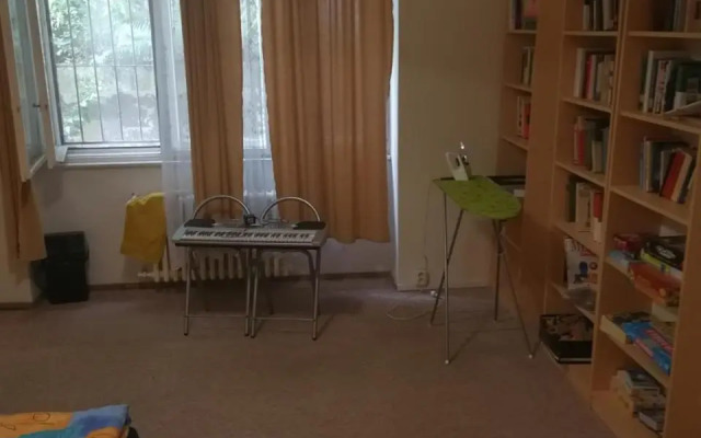 Flat 18 Minutes From Vaclavske Namesti