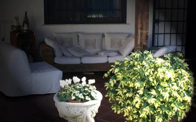 B&B Cocoon