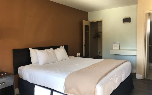 Hotel Elevation