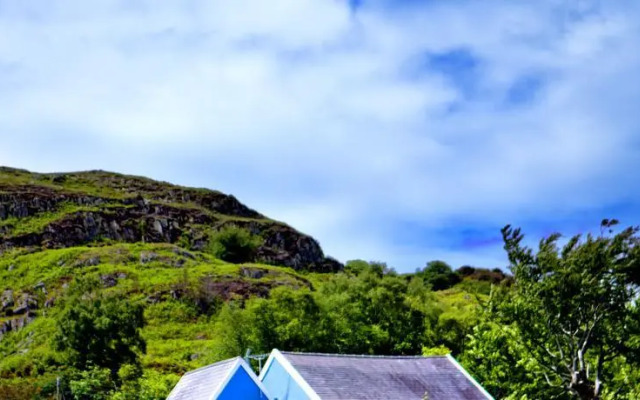 The Snowdon Inn - Y Fricsan