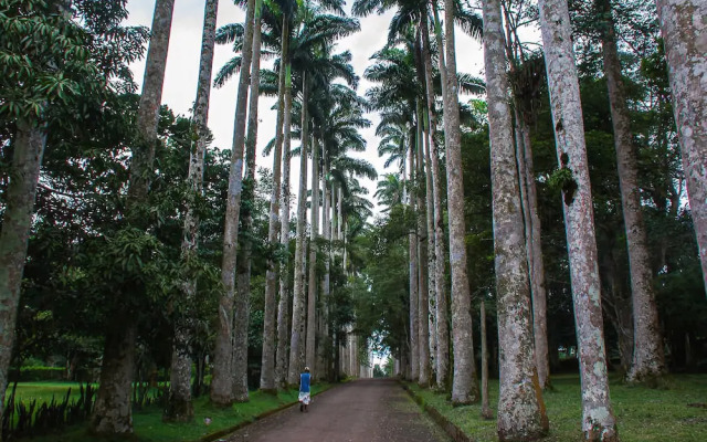 Logess Estates Guesthouse