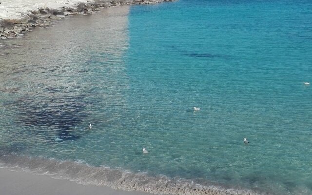 Palazzo Fiscaiolo B&B