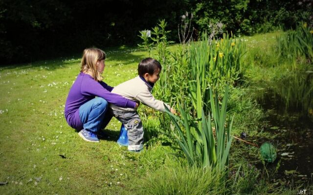 Stutteri Skandi Hest