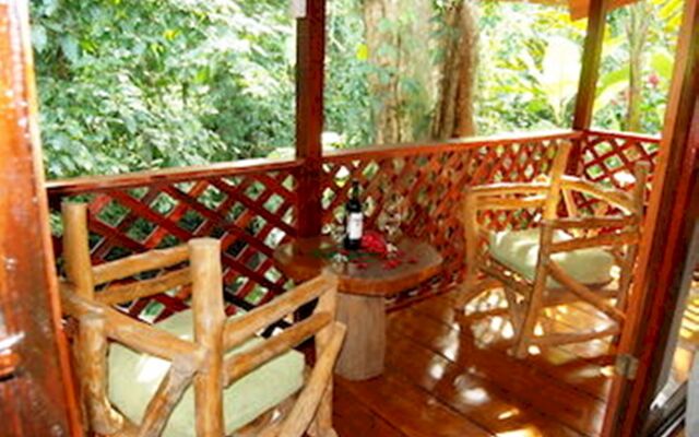Ara Ambigua Lodge