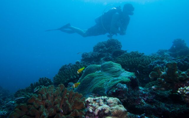 Rihiveli Maldives Resort