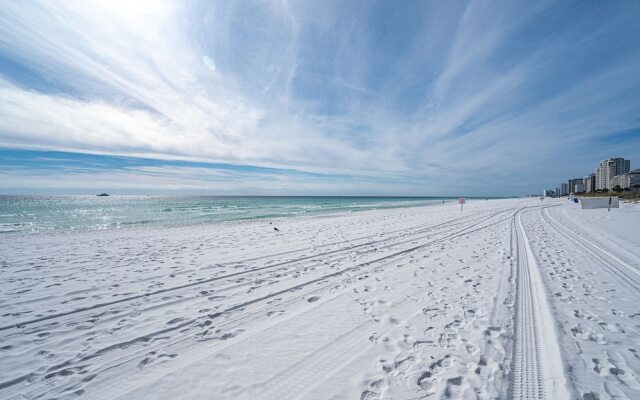 Beach Therapy