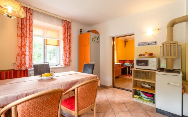 Spacious Holiday Home in Tröpolach near Ski Area