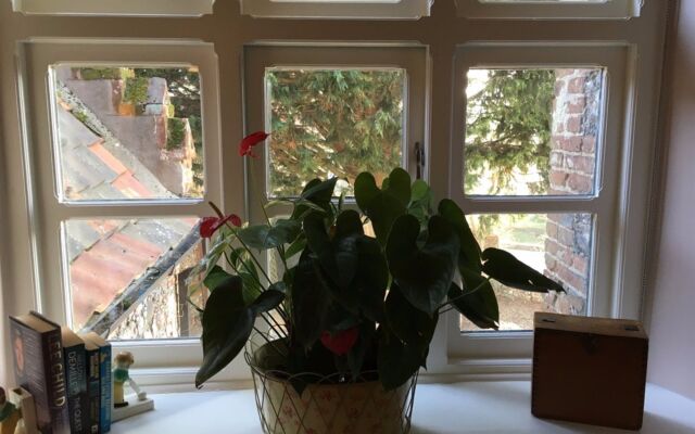 The Green House B&B