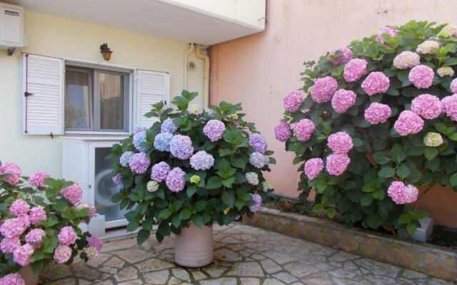 Pension Filoxenia