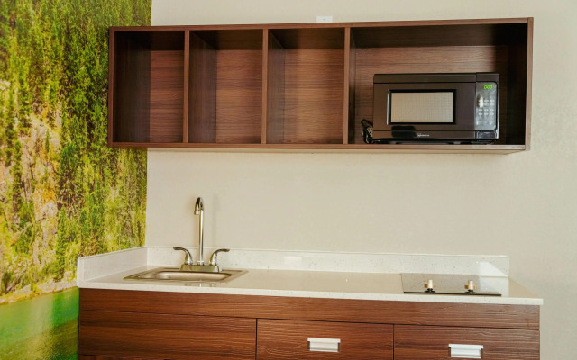 Clarion Pointe-Dillard near Blue Ridge Mountains