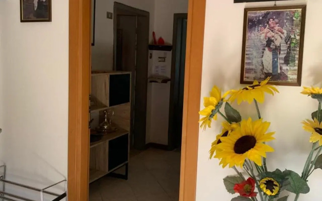 House Campi