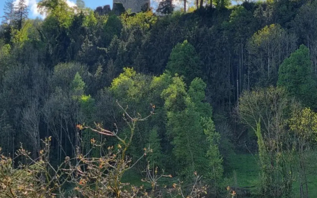 Ferienwohnung Tostner Burgblick