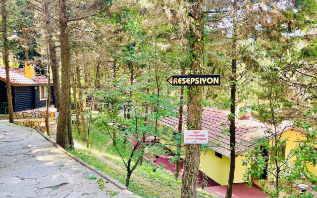 Agva Orman Evleri (Forest Lodge)