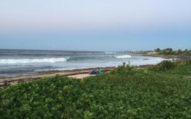 101 Ocean Front