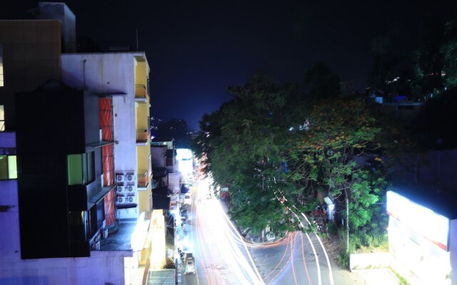 Kandy City Monkey