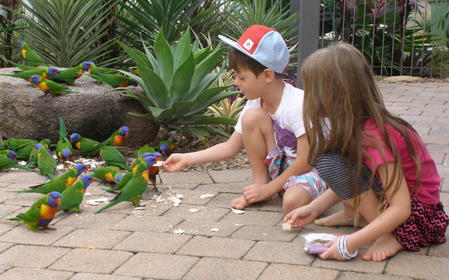 Island Leisure Resort