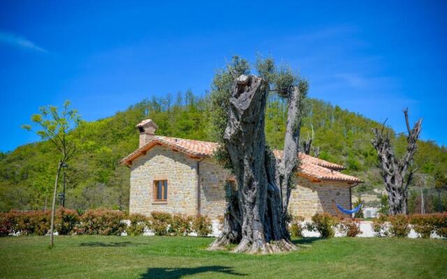 Tenuta Borgo Santa Cecilia