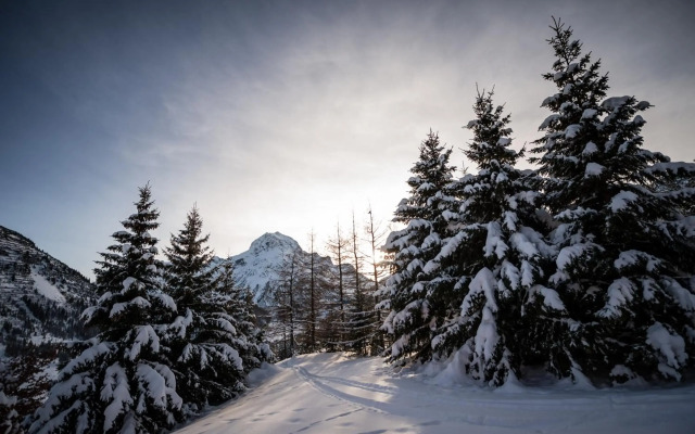 Das Verwall - finest serviced apartments