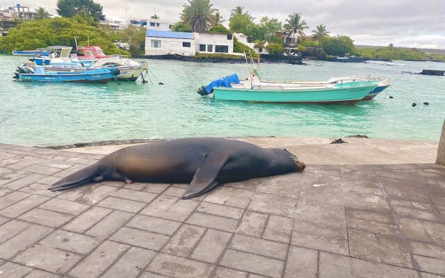 Maidith Galapagos Inn