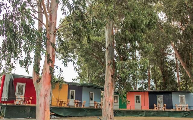 Patara Woody Hostel & Camping