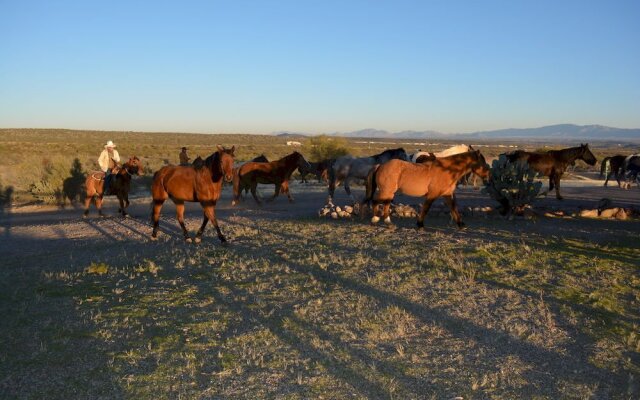 Flying E Ranch
