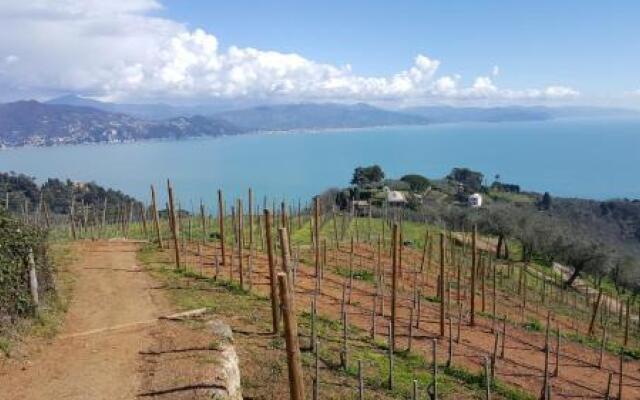 Guest House 4 Stars Chiavari