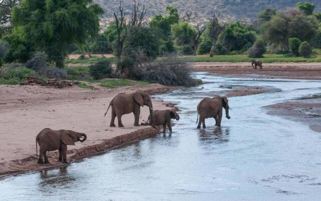 Samburu Sopa Lodge