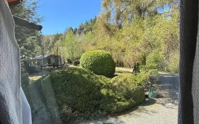 Bungalows del Trebol