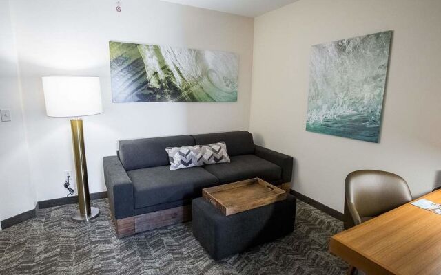 SpringHill Suites Winston-Salem Hanes Mall