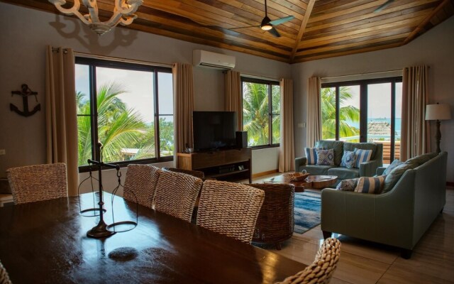 Villa Island Time Gecko