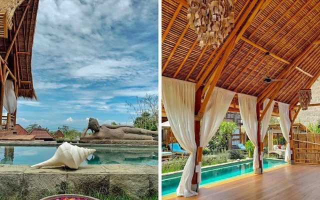 Toraja Bambu