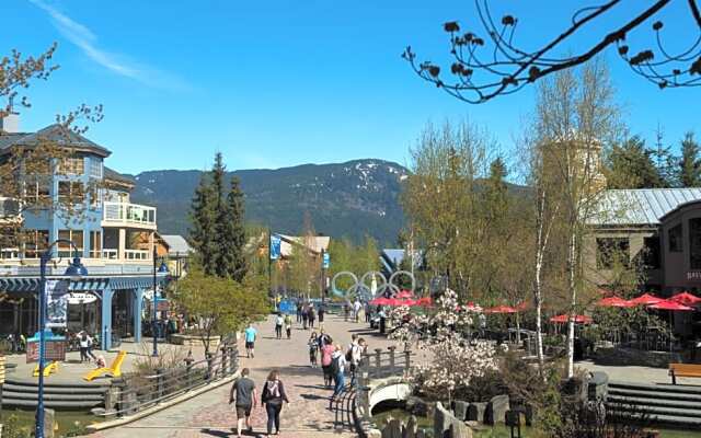 Whistler Blackcomb VR at Tyndall Stone