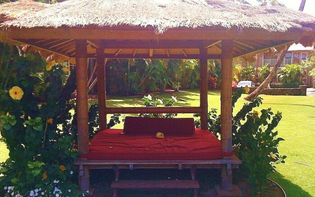 Aina Nalu A109 by RedAwning