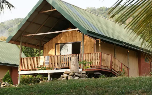 Lodge Hummingbird - Lake Bosomtwe