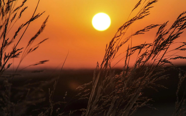 Apartamento Conil San Jose