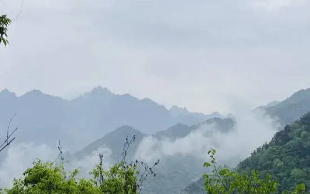 Wudang Chuxing homestay