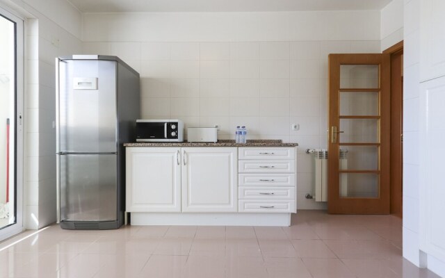 Expo Delight by Homing