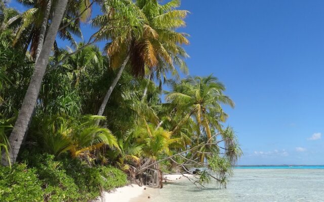 Rangiroa Tiputa Lodge B&B