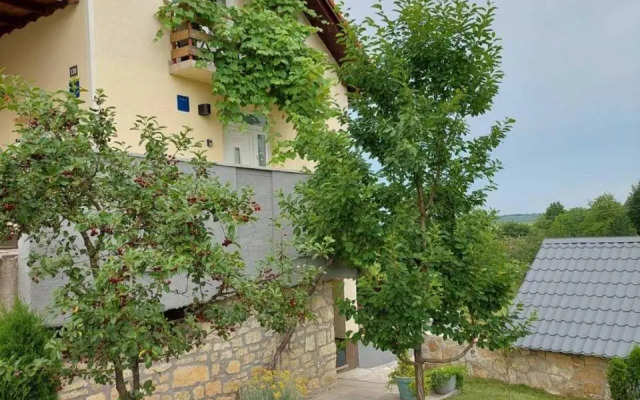 Studio apartman HANA